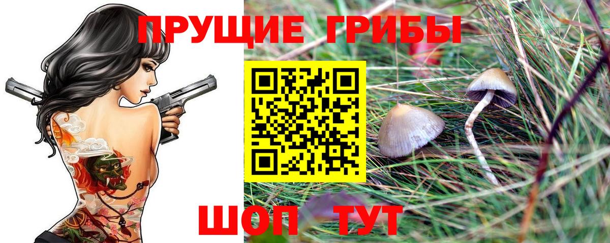 Галлюциногенные грибы MAGIC MUSHROOMS  Вход с VPN  Ярцево  Псилоцибиновые грибы GOLDEN TEACHER 